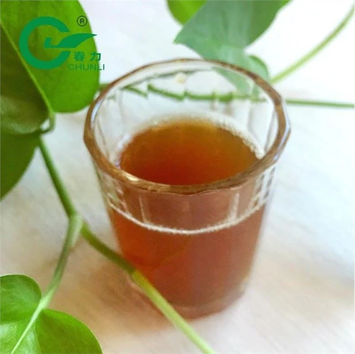 Gunpowder Tea manufacturers